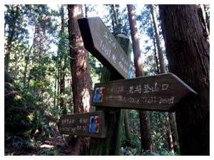 沿路登山指標